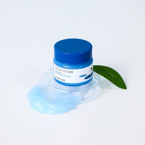 Round Lab Birch Juice Moisturizing Lip Balm 20g