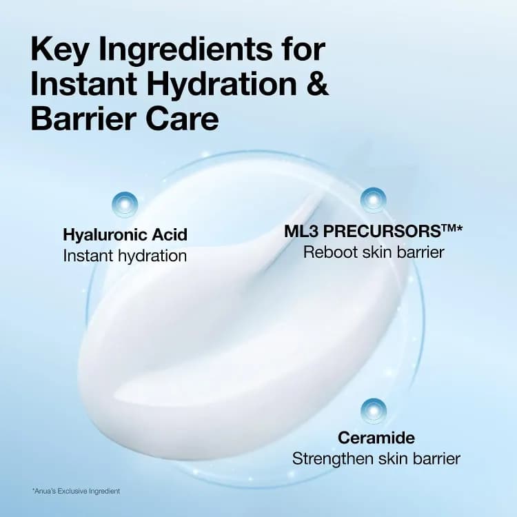 Anua Barrier Reboot Watery Gel Cream