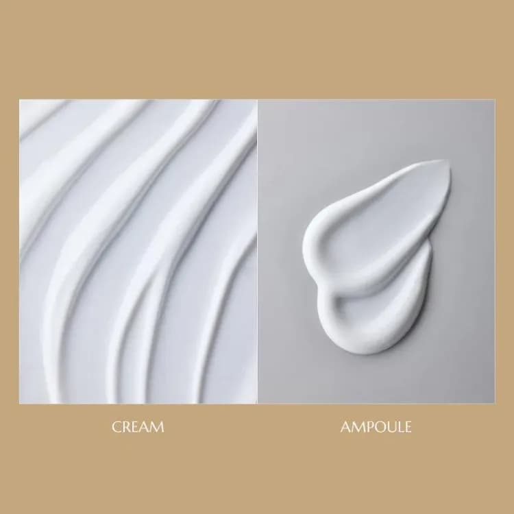 Cleardea Mucin Collagen Voluming Cream Ampoule 4ml (2ea)