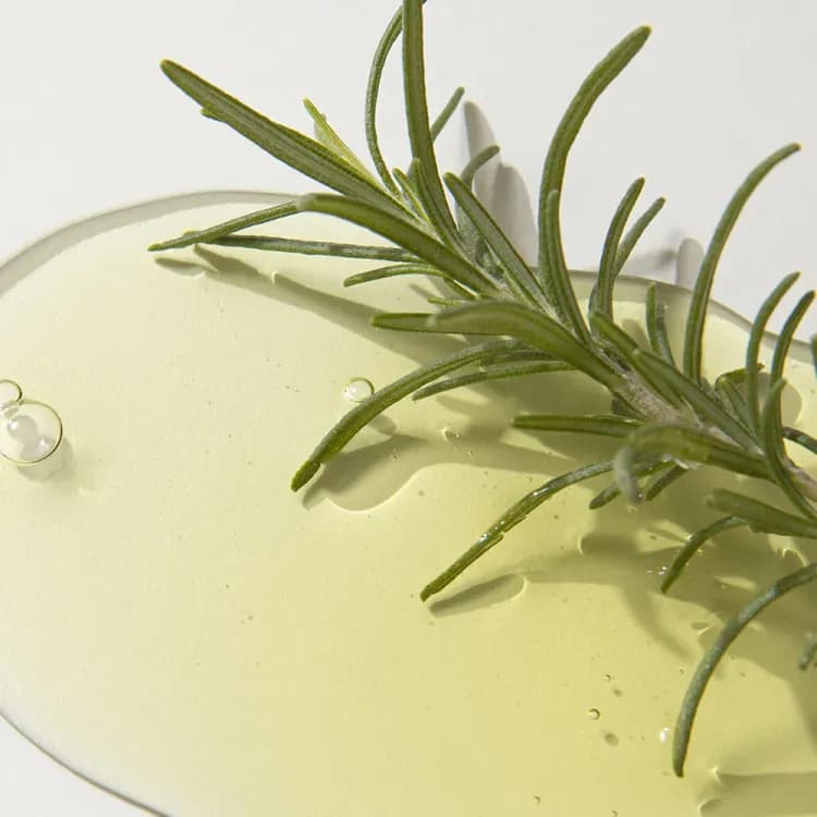 Kaine Rosemary Night Serum 30ml