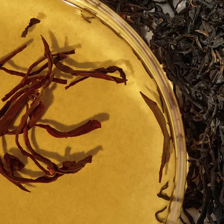 Kaine Kombu Balancing Ampoule Toner 150ml