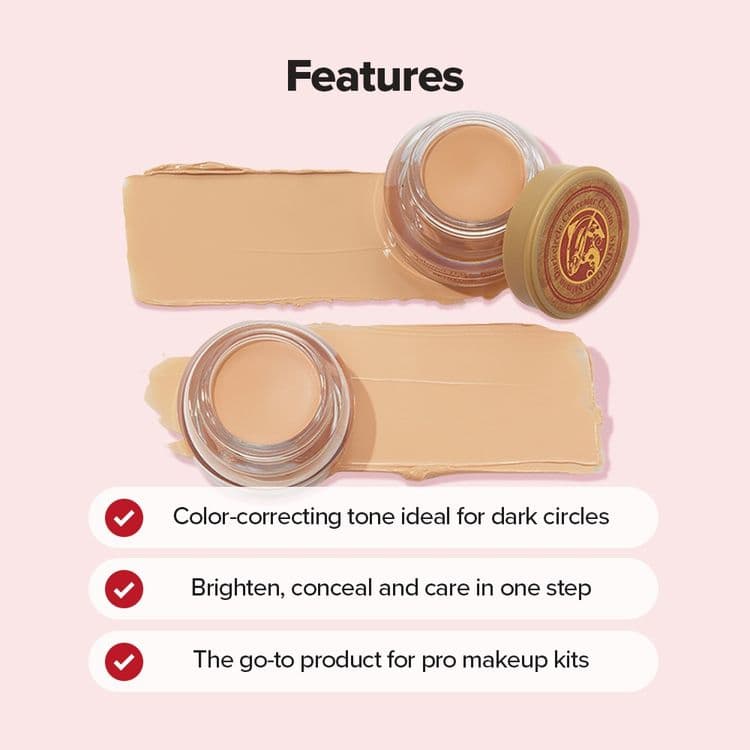 Skinfood Salmon Darkcircle Concealer Cream