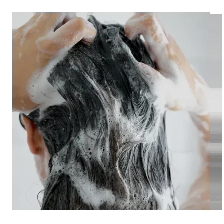 Shiseido Fino Premium Touch Shampoo 550ml